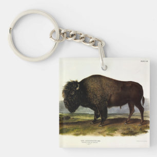 American Bison, oder Buffalo (Bison bison) - Audub Schlüsselanhänger