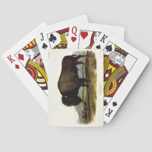American Bison, oder Buffalo (Bison bison) - Audub Spielkarten