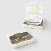 American Bison, oder Buffalo (Bison bison) - Audub Steinuntersetzer (Seitenansicht)