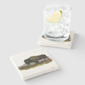 American Bison, oder Buffalo (Bison bison) - Audub Steinuntersetzer (Seitenansicht)