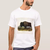 American Bison, oder Buffalo (Bison bison) - Audub T-Shirt (Vorderseite)