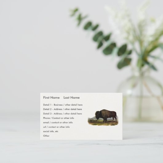 American Bison, oder Buffalo (Bison bison) - Audub Visitenkarte (Stehend Vorderseite)