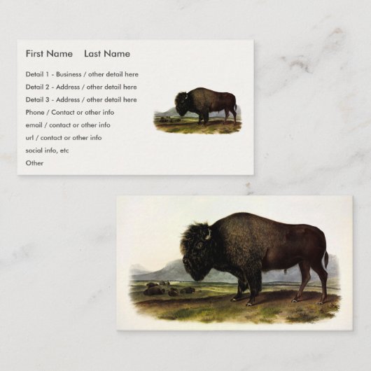 American Bison, oder Buffalo (Bison bison) - Audub Visitenkarte (Vorne/Hinten)