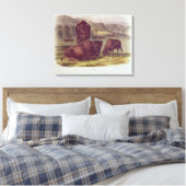 American Bison oder Buffalo Leinwanddruck (Insitu (Schlafzimmer))