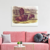 American Bison oder Buffalo Leinwanddruck (Insitu (Wohnzimmer))