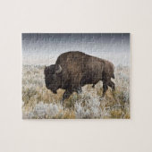American Bison oder Buffalo Puzzle (Horizontal)