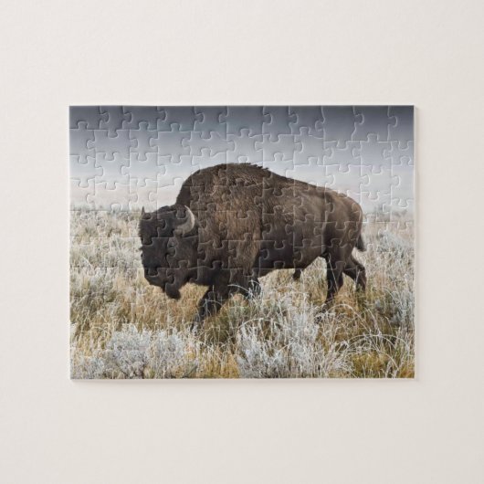 American Bison oder Buffalo Puzzle (Horizontal)