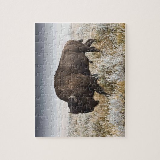 American Bison oder Buffalo Puzzle (Vertikal)