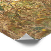 American Bison Poster (Ecke)