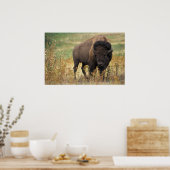 American Bison Poster (Küche)