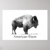 American Bison Poster (Vorne)