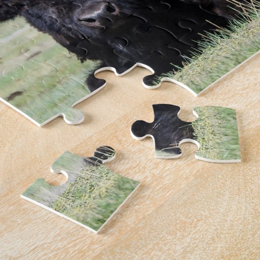 American Bison Puzzle (Seite)