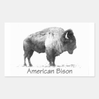 American Bison Rechteckiger Aufkleber