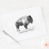 American Bison Rechteckiger Aufkleber (Umschlag)