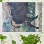 American Bison Roaming in Grassland Geschirrtuch (Gefaltet)
