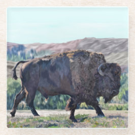 American Bison Roaming in Grassland Glasuntersetzer