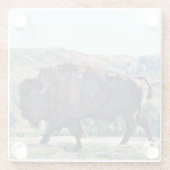 American Bison Roaming in Grassland Glasuntersetzer (Rückseite)