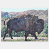 American Bison Roaming in Grassland Magnet (Vorderseite)