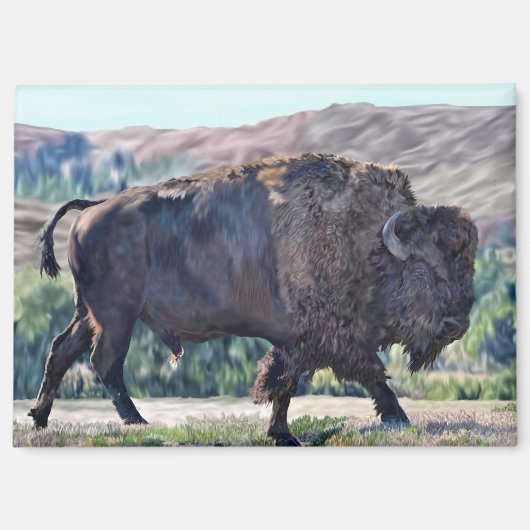 American Bison Roaming in Grassland Magnet (Vorderseite)