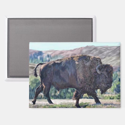American Bison Roaming in Grassland Magnet (Vorderseite/Rückseite)
