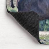 American Bison Roaming in Grassland Mousepad (Ecke)