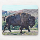 American Bison Roaming in Grassland Mousepad (Vorne)