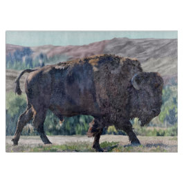 American Bison Roaming in Grassland Schneidebrett