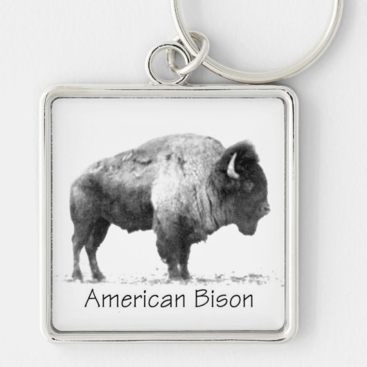 American Bison Schlüsselanhänger (Vorne)