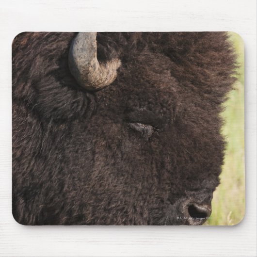 American Bison, South Dakota Mousepad (Vorne)