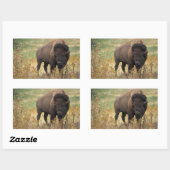 American Bison Stickers (Blatt)