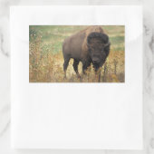 American Bison Stickers (Tasche)