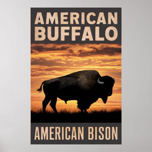 American Bison Sunset Silhouette Poster (Vorne)
