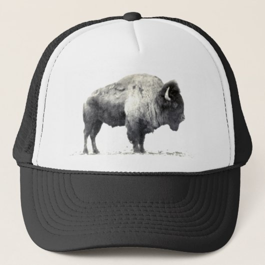 American Bison Truckerkappe (Vorderseite)