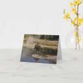 American Bison Yellowstone Wildlife Fotografy Karte (Gelbe Blume)