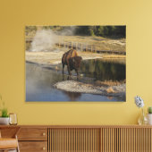 American Bison Yellowstone Wildlife Fotografy Leinwanddruck (Insitu (Wohnzimmer))