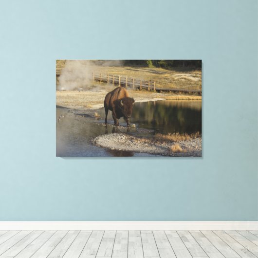 American Bison Yellowstone Wildlife Fotografy Leinwanddruck (Insitu (Holzboden))