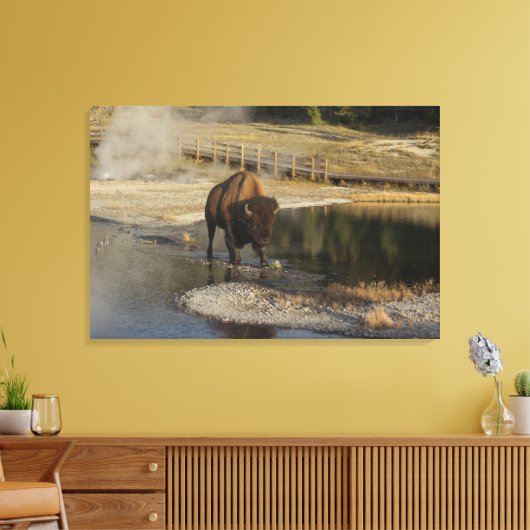American Bison Yellowstone Wildlife Fotografy Leinwanddruck (Insitu (Wohnzimmer))