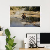 American Bison Yellowstone Wildlife Photography Poster (Heimbüro)
