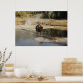 American Bison Yellowstone Wildlife Photography Poster (Küche)