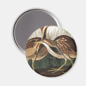 American Bittern von John James Audubon Magnet (Vorderseite/Rückseite)