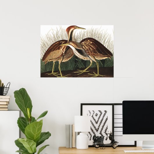 American Bittern von John James Audubon Poster (Heimbüro)
