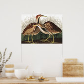 American Bittern von John James Audubon Poster (Küche)