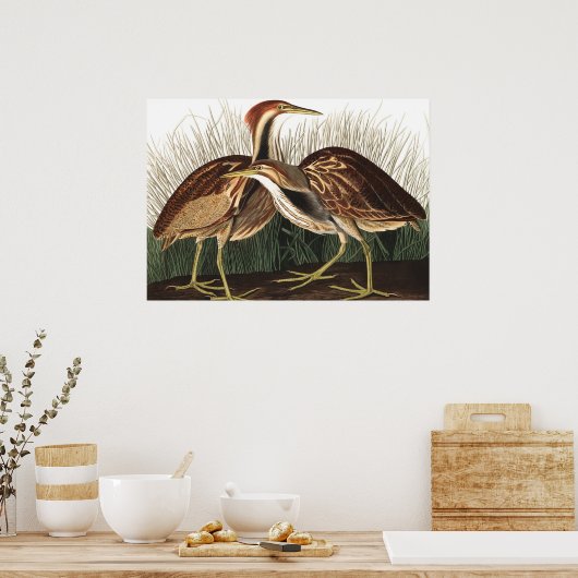 American Bittern von John James Audubon Poster (Küche)