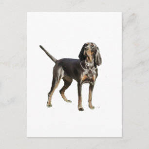 American Black and Tan Coon Hound Postkarte