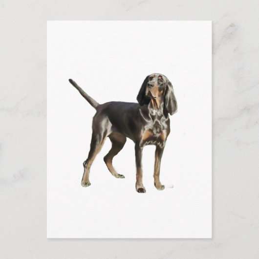 American Black and Tan Coon Hound Postkarte (Vorderseite)