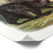 American Black Bar of North America (1845) Poster (Ecke)