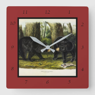 American Black Bar (Ursus Americanus) von Audubon Quadratische Wanduhr