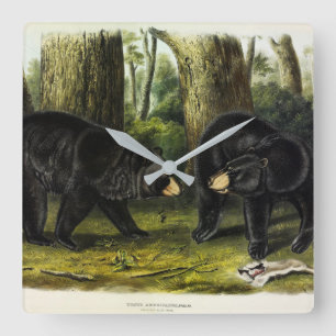 American Black Bar (Ursus Americanus) von Audubon Quadratische Wanduhr