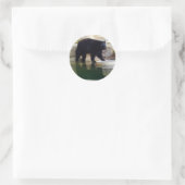American Black Bear #1-1 Stickers (Tasche)