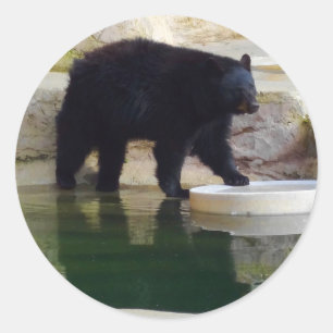 American Black Bear #1-1 Stickers